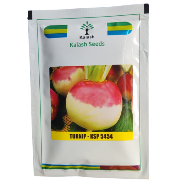 Turnips Seed Image