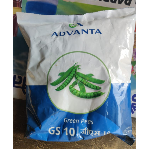 Green Peas Seeds image 2