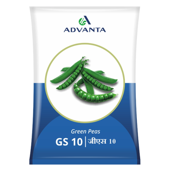 Green Peas Seeds Image