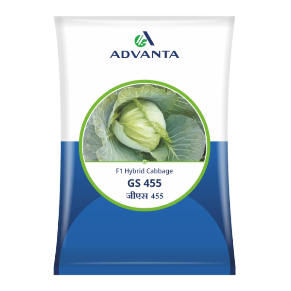 F1 Hybrid Cabbage Seeds Image