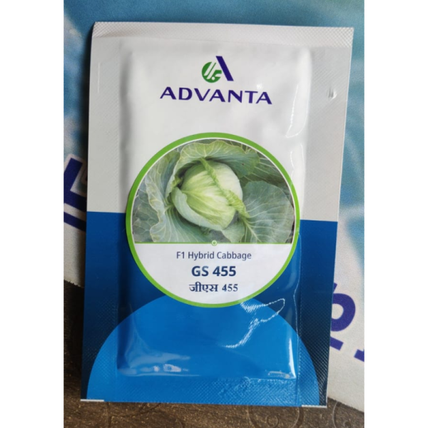 F1 Hybrid Cabbage Seeds image 2
