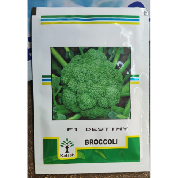 F1 Hybrid Broccoli Seeds image 2