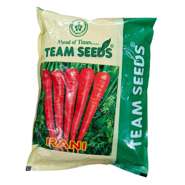Carrot Seed-Image
