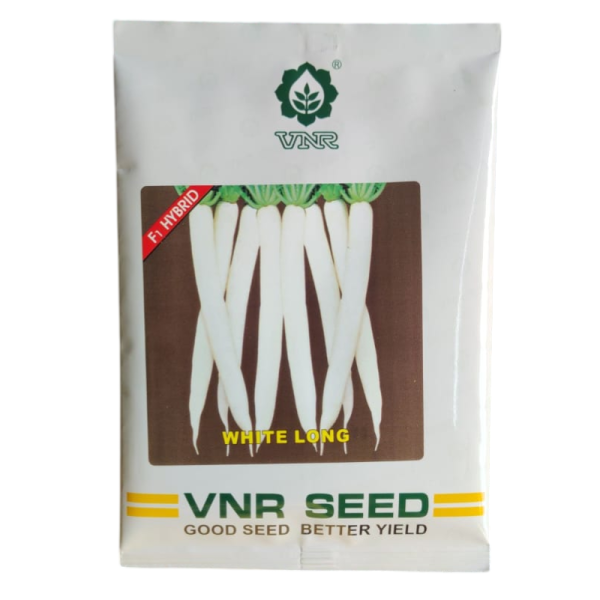 White Long Radish Seeds Image