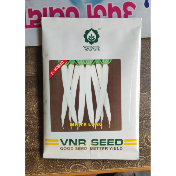 White Long Radish Seeds image 2