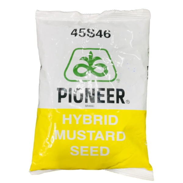Pioneer 45S46 Hybrid Mustard Seed – High Yield Crop Seeds Image