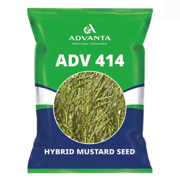 ADV 414 Hybrid Mustard Seed for High Yield Crop Cultivation-Image