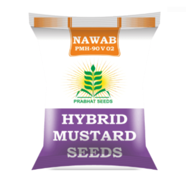 Hybrid Mustard Seed-Image