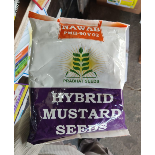 Hybrid Mustard Seed image 2