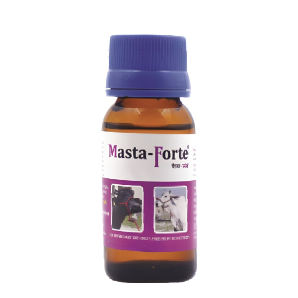Masta-Forte Image