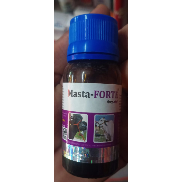 Masta-Forte image 3