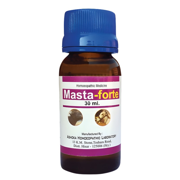 Masta-Forte image 2