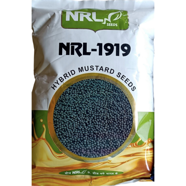 Hybrid Mustard Seed-Image