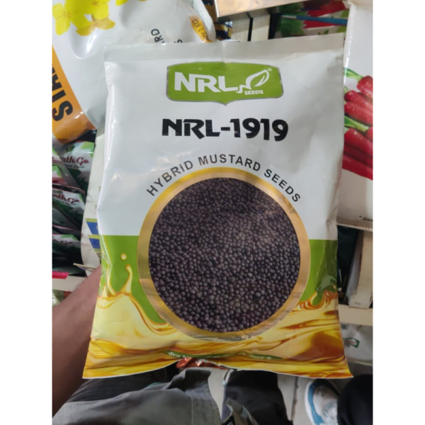 Offers @ Hybrid Mustard Seed