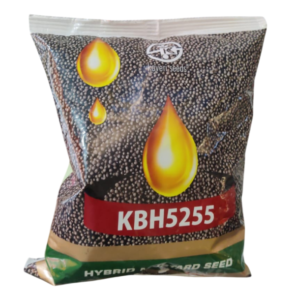 Offers @ Hybrid Mustard Seed