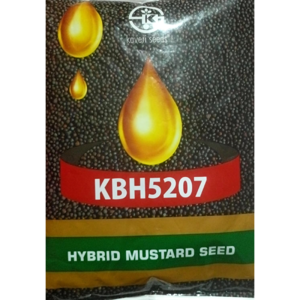 Hybrid Mustard Seed-Image