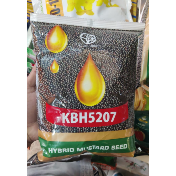 Hybrid Mustard Seed image 2