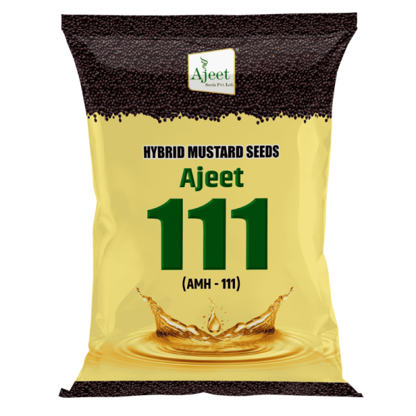 Hybrid Mustard Seed Image