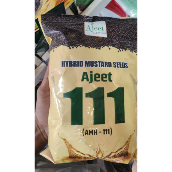 Hybrid Mustard Seed image 2