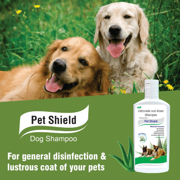 Pet Shield Medicated Shampoo - Pil
