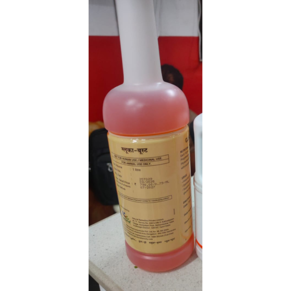 Gluca Boost - Natural Remedies Pvt.Ltd