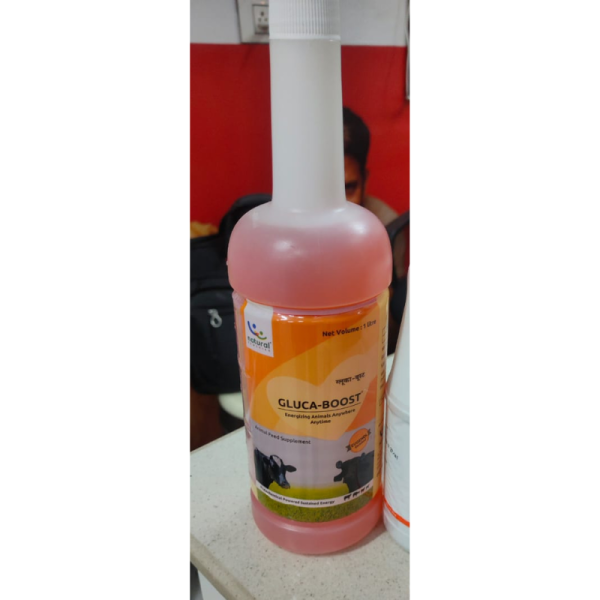 Gluca Boost - Natural Remedies Pvt.Ltd