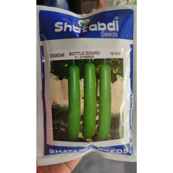 Bottle Gourd F1 Hybrid image 2