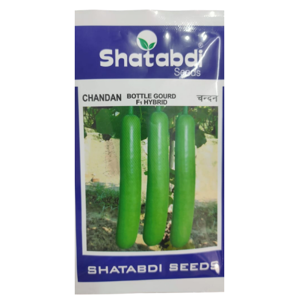 Bottle Gourd F1 Hybrid Image