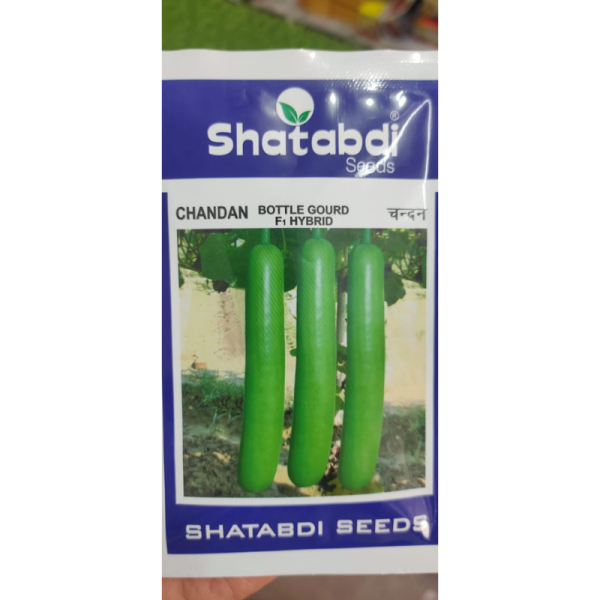Bottle Gourd F1 Hybrid image 2