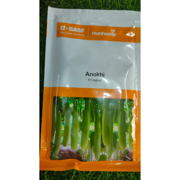 Anokhi F1 Hybrid Bottlegourd Seeds image 2