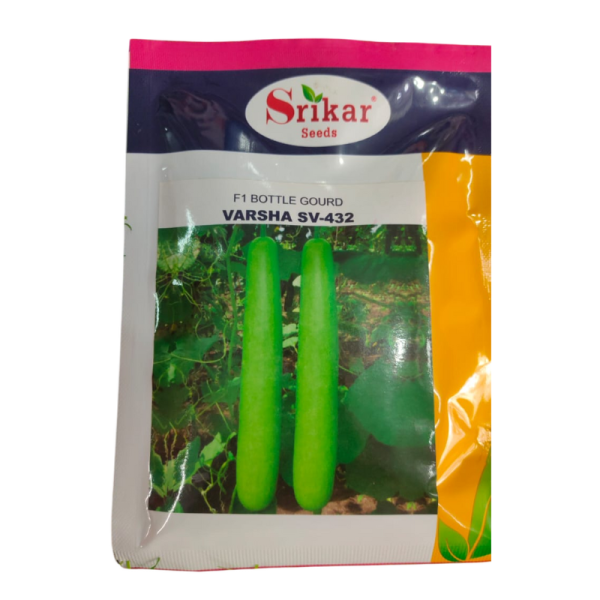 Bottle Gourd F1 Hybrid Image