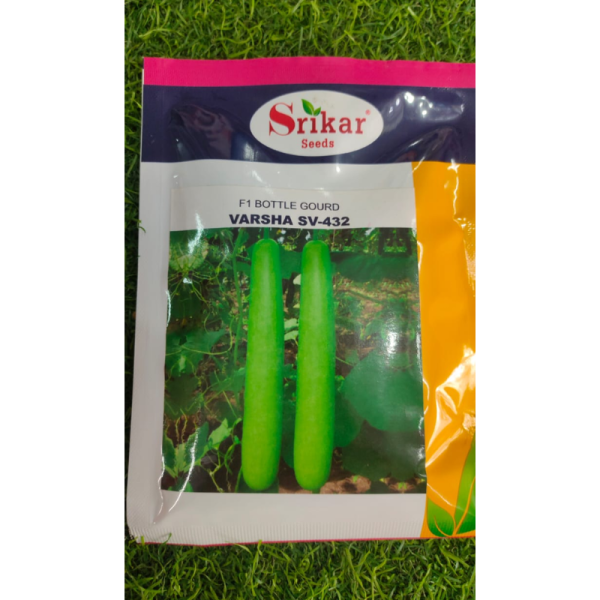 Bottle Gourd F1 Hybrid image 2