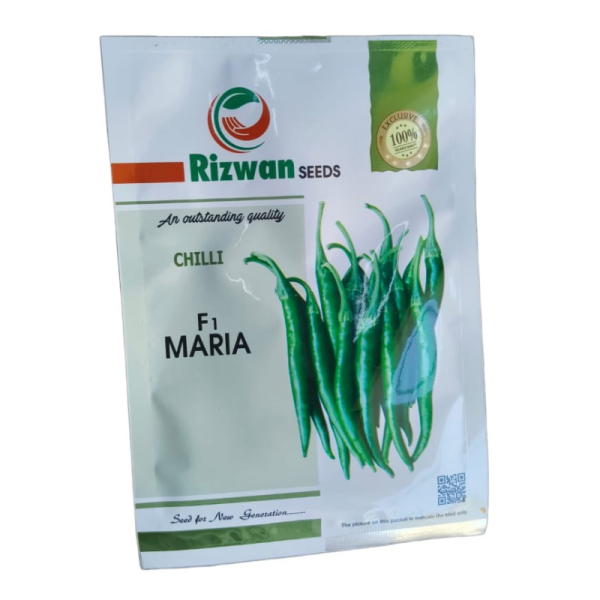 Chilli Seeds Image