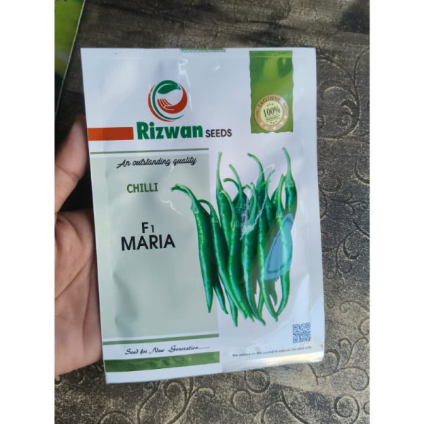 Chilli Seeds image 2