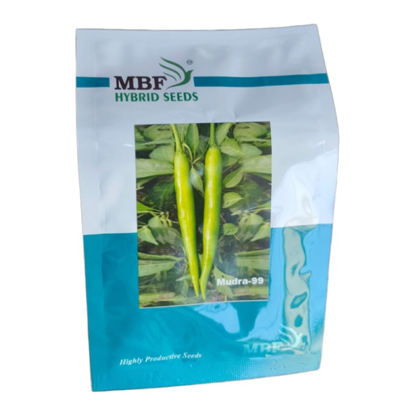 Chilli Seeds Image