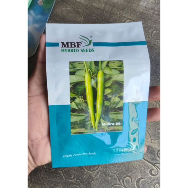 Chilli Seeds image 2