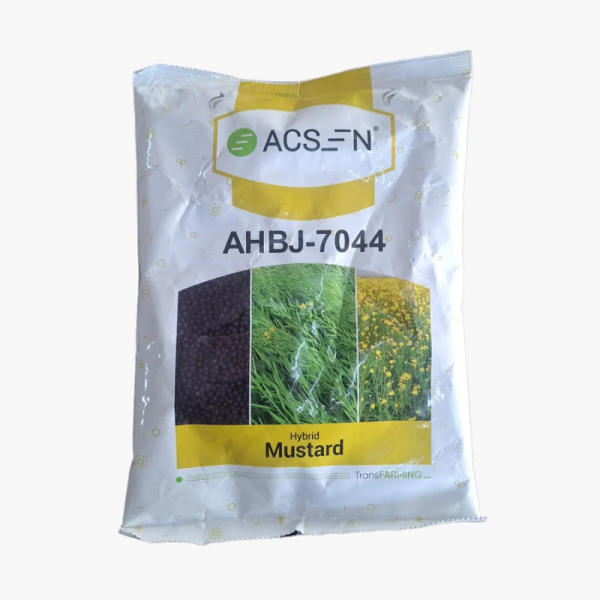 Hybrid Mustard Seed Image