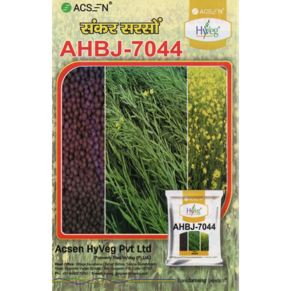 Hybrid Mustard Seed image 2