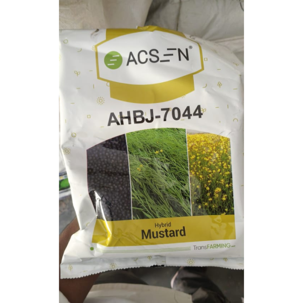 Hybrid Mustard Seed image 3