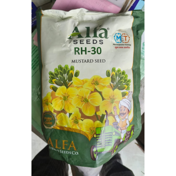 Mustard Seed - Alfa Seeds