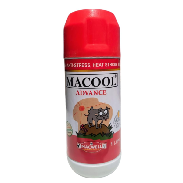 Macool Advance-Image