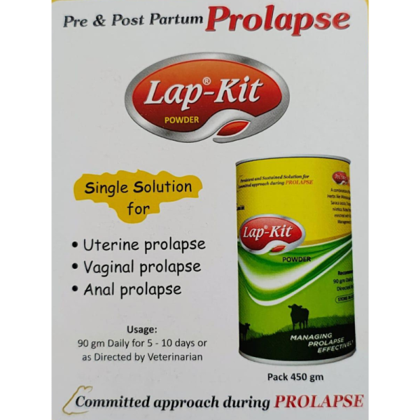 Lap-Kit Powder - EDGE Life Science