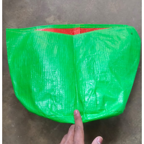 Grow Bag image 3