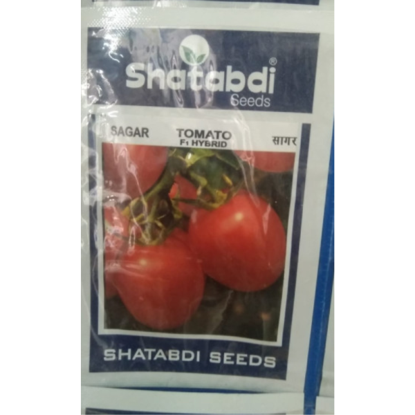 Tomato F1 Hybrid image 2