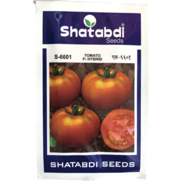 Tomato F1 Hybrid-Image