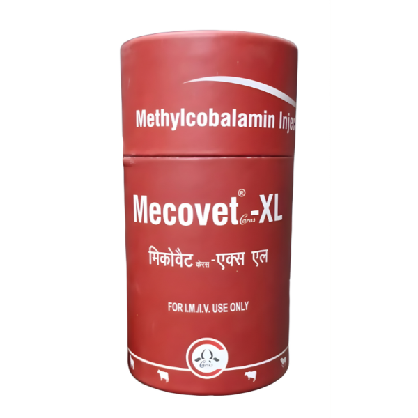 Mecovet XL Injection-Image