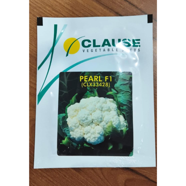 Cauliflower Seed image 2
