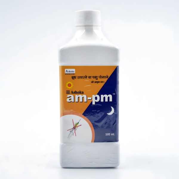 Am-Pm Image