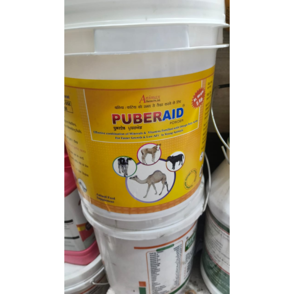 Puberaid Powder - Animax Health Care