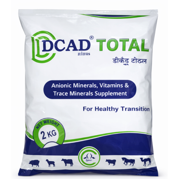 Dcad Total-Image